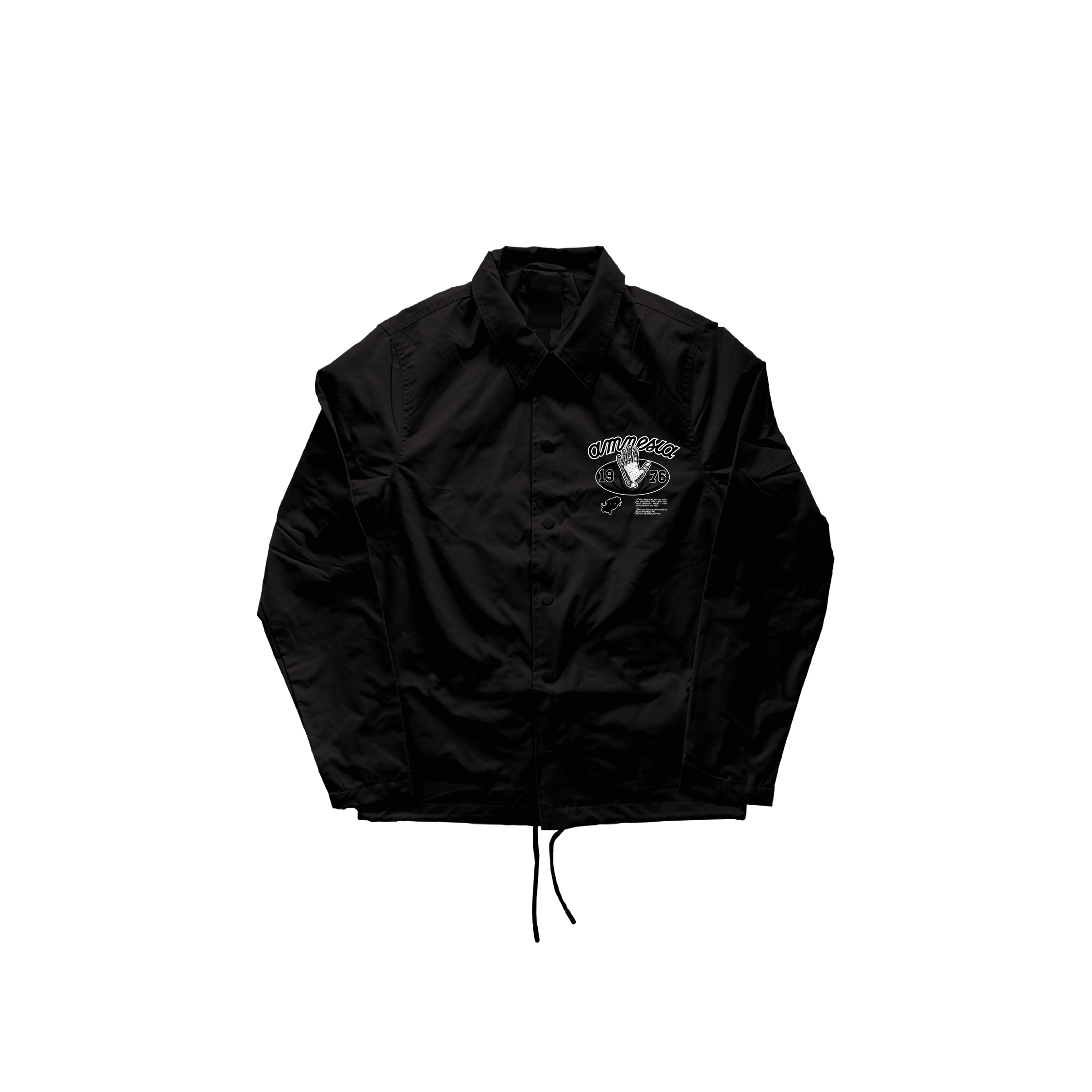 AMNESIA WINDBREAKER
