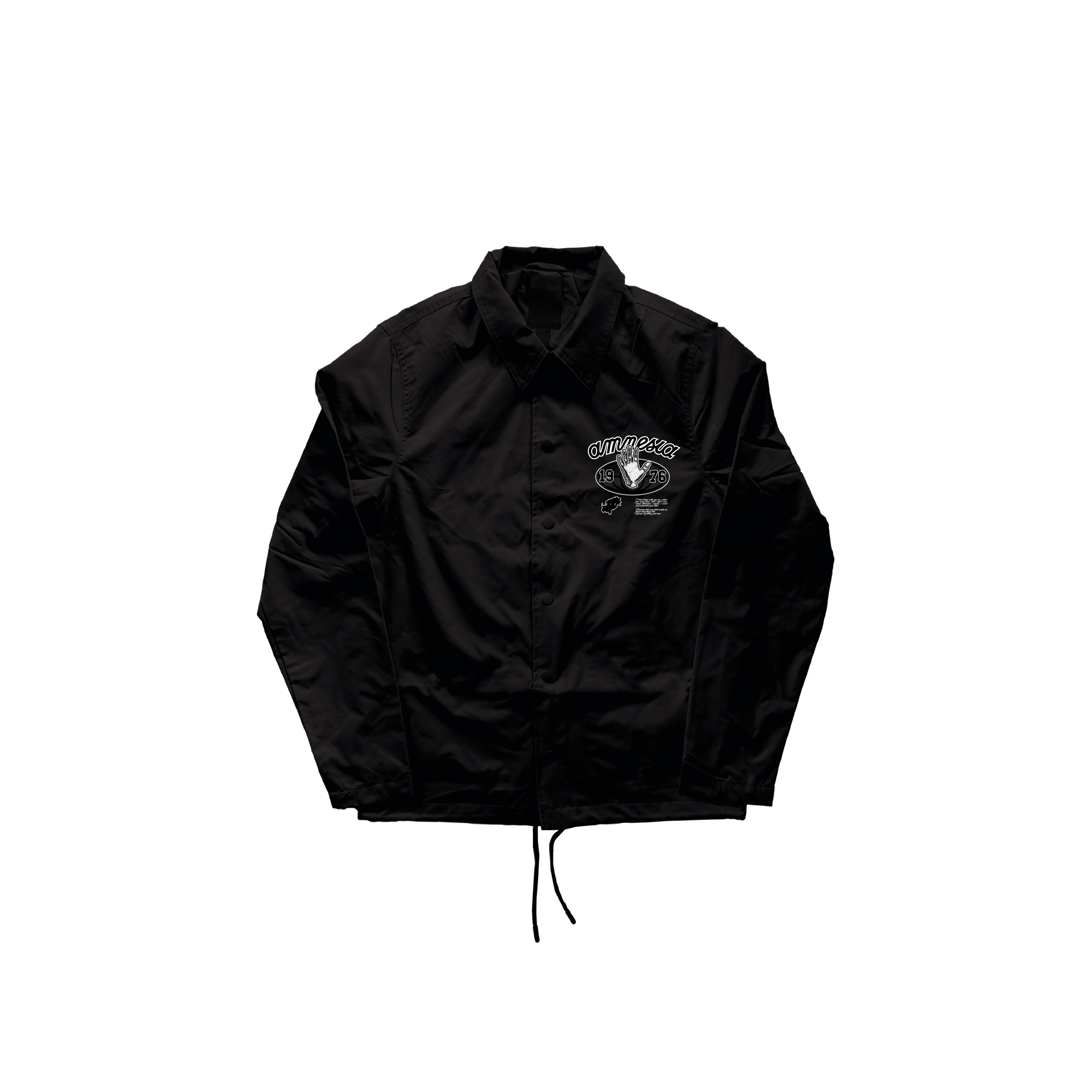 AMNESIA WINDBREAKER