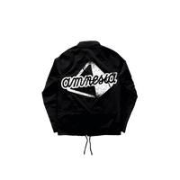 AMNESIA WINDBREAKER