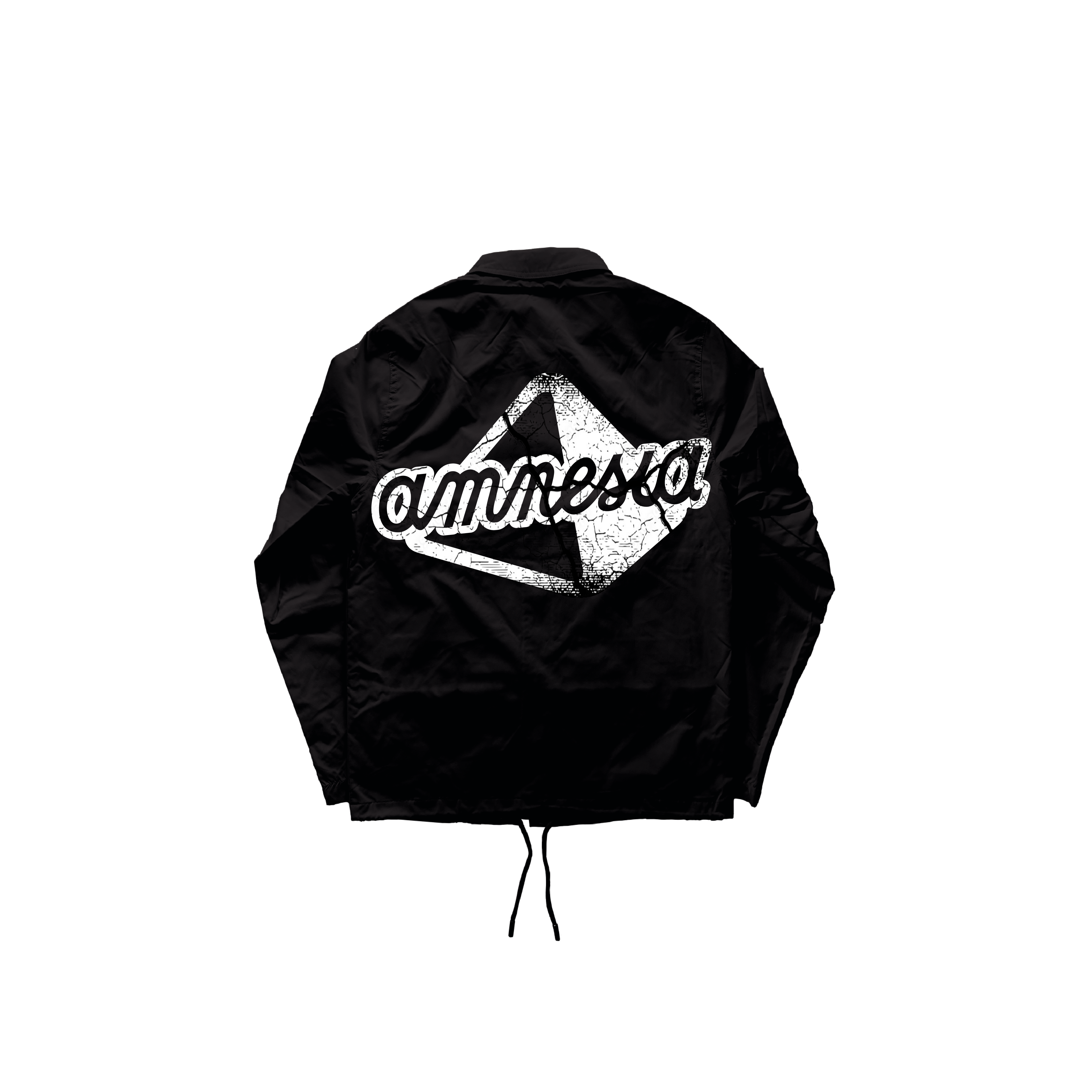 AMNESIA WINDBREAKER