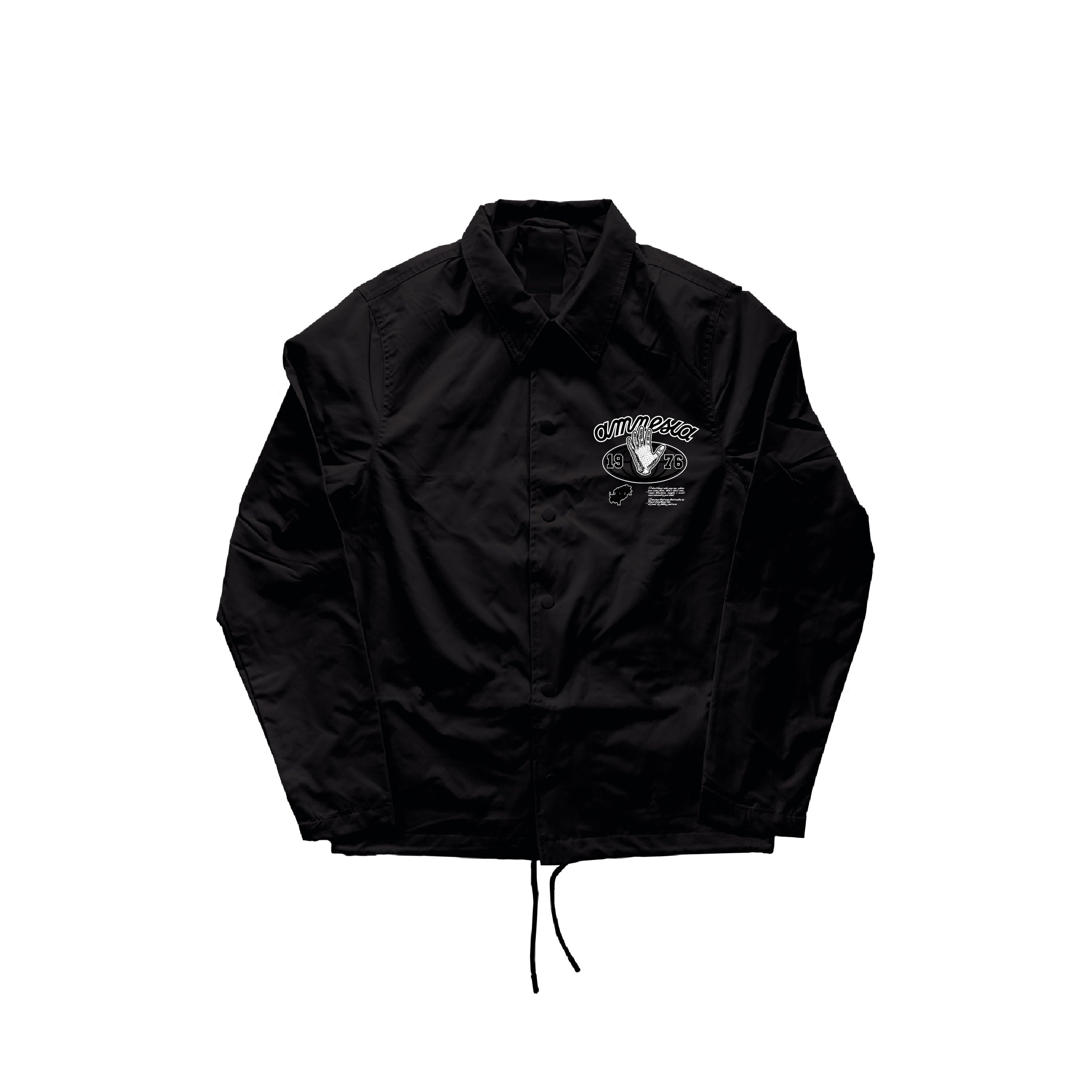 AMNESIA WINDBREAKER