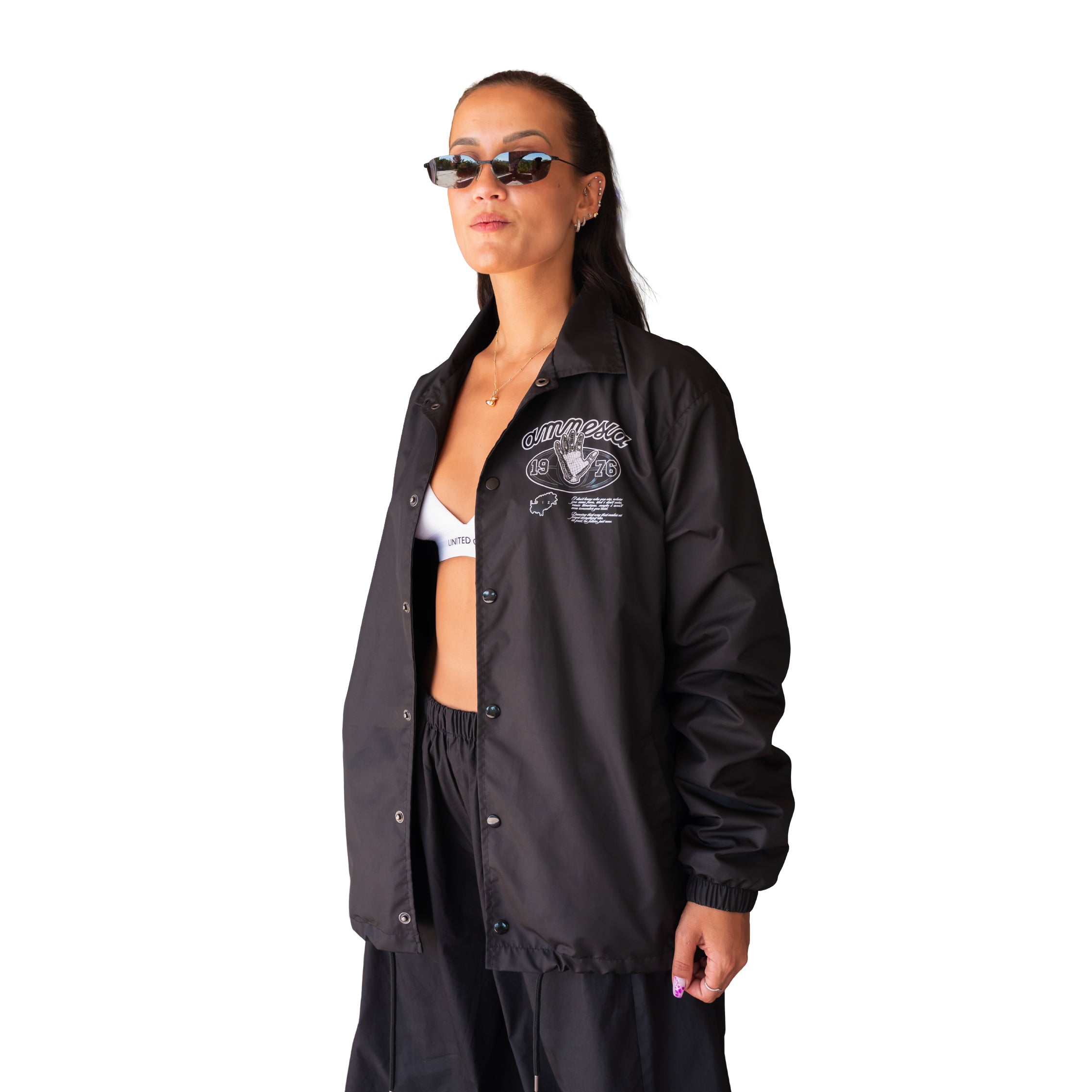 AMNESIA WINDBREAKER